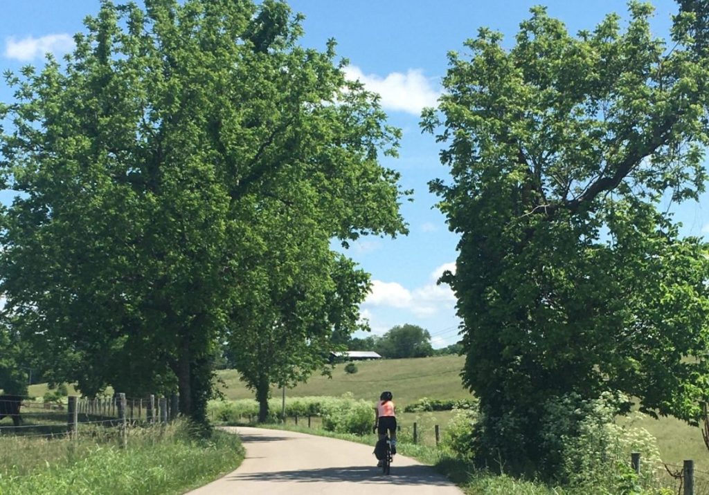 Woman on bike cycling alone through two beautiful green trees on paved road countryside.